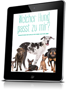 "Welcher Hund passt zu mir?"-Test