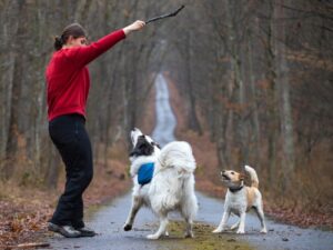 Frau spielt mit ihren Hunden auf einer Landstraße im Wald.